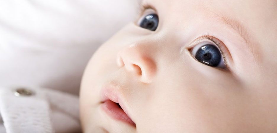 La vue de bébé