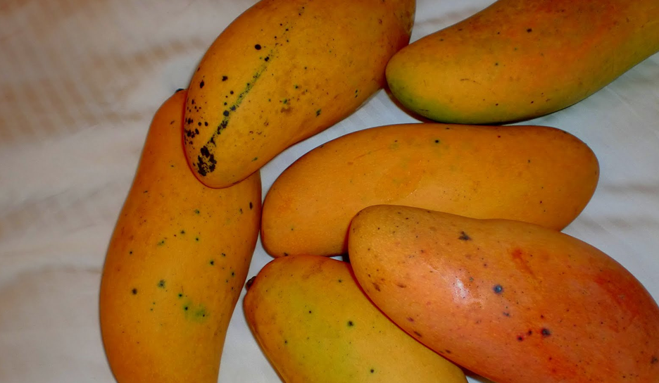 Un fruit, pour combattre le cancer