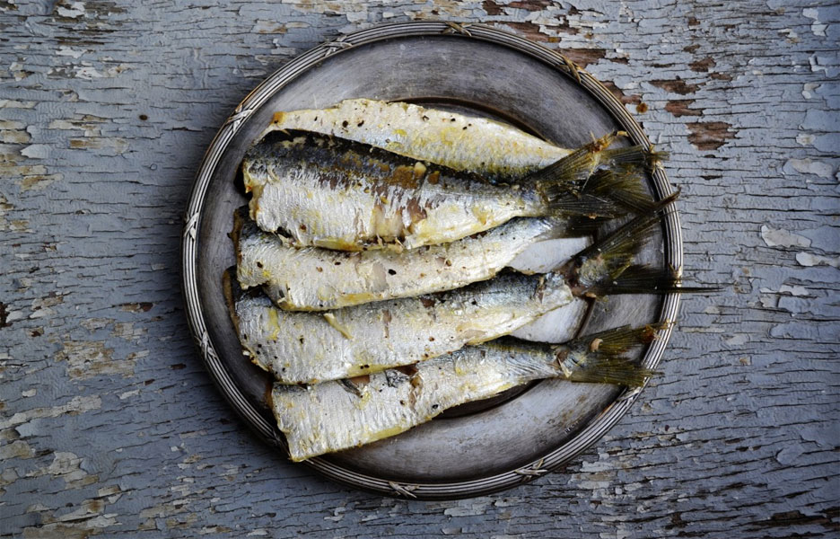 Des poissons injustement n&eacute;glig&eacute;s