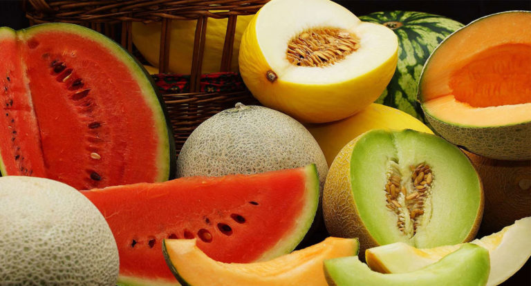 Conseils, les variétés de melon