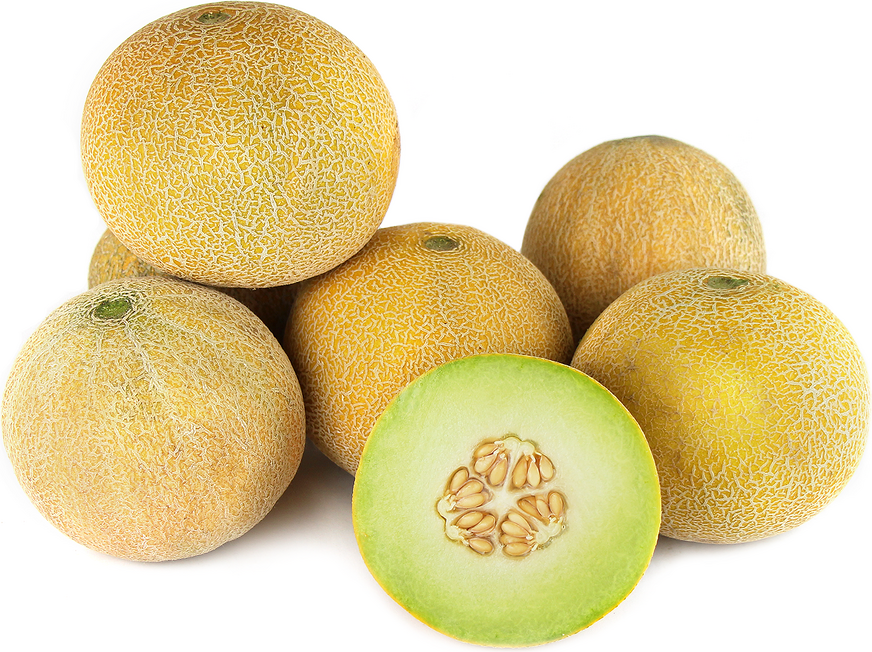 Le melon Galia