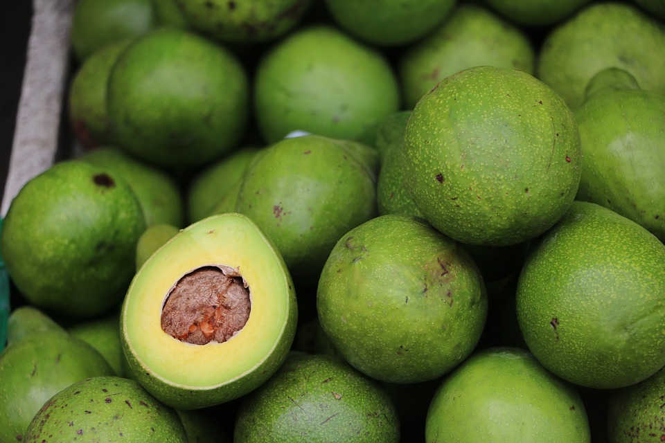 L'avocat