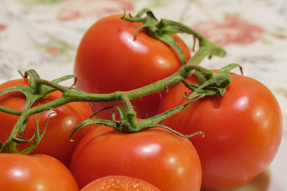 Les tomates