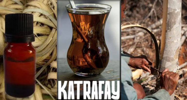 Le katrafay : une plante miraculeuse dans la pharmacopée traditionnelle
