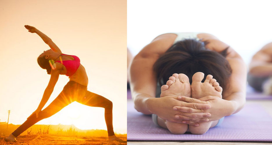 Bienfaits et spécificités du yoga