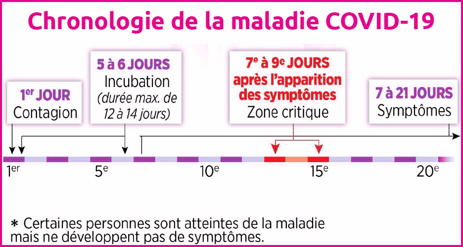 Chronologie de la maladie COVID 19
