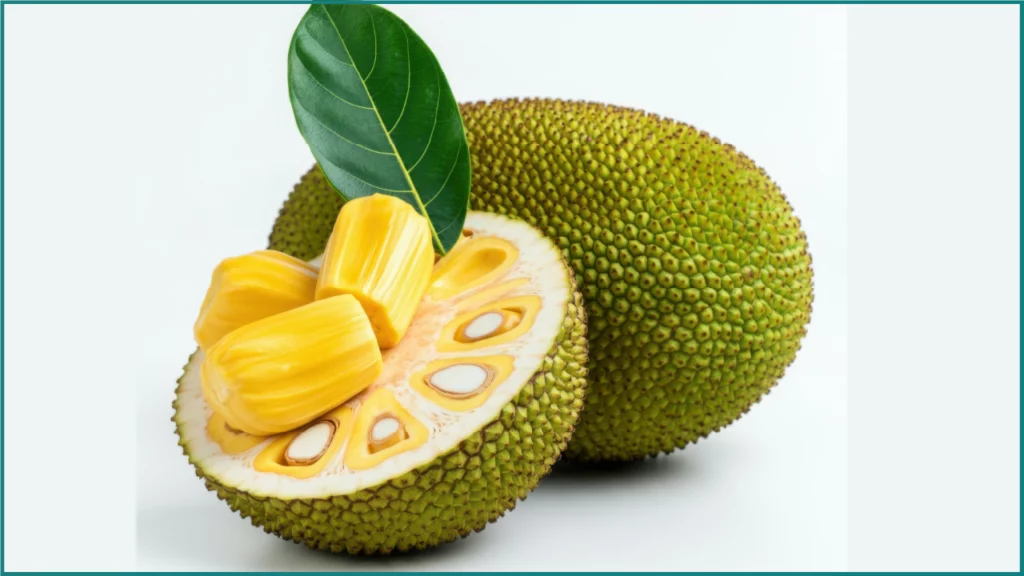 Jackfruit's rise |labonnecopine.com