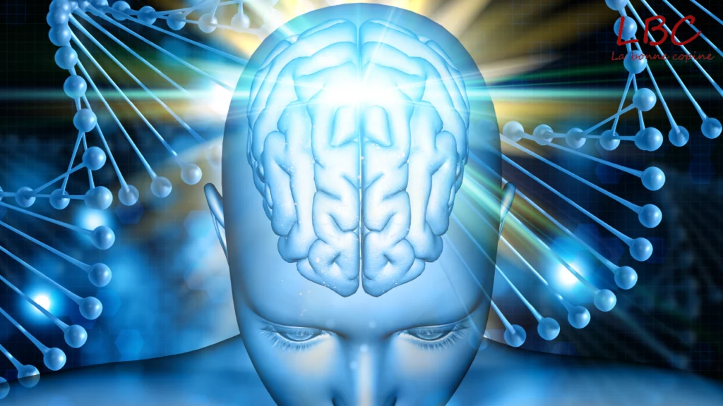 Représentation d’un cerveau lumineux mis en valeur par des spirales d’ADN, symbolisant le lien entre biologie et intelligence | labonnecopine.com