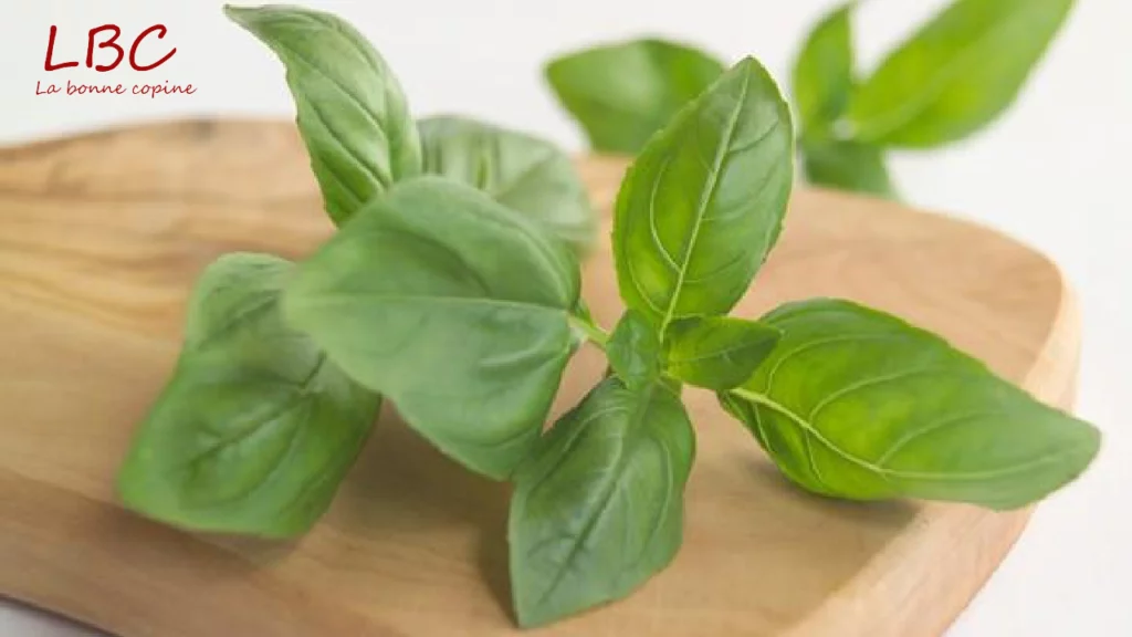 Medicinal Plants Nature's Pharmacy [ labonnecopine.com