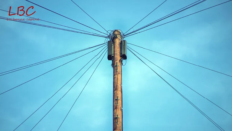 Optimising your network: how to build a solid and lasting support circle