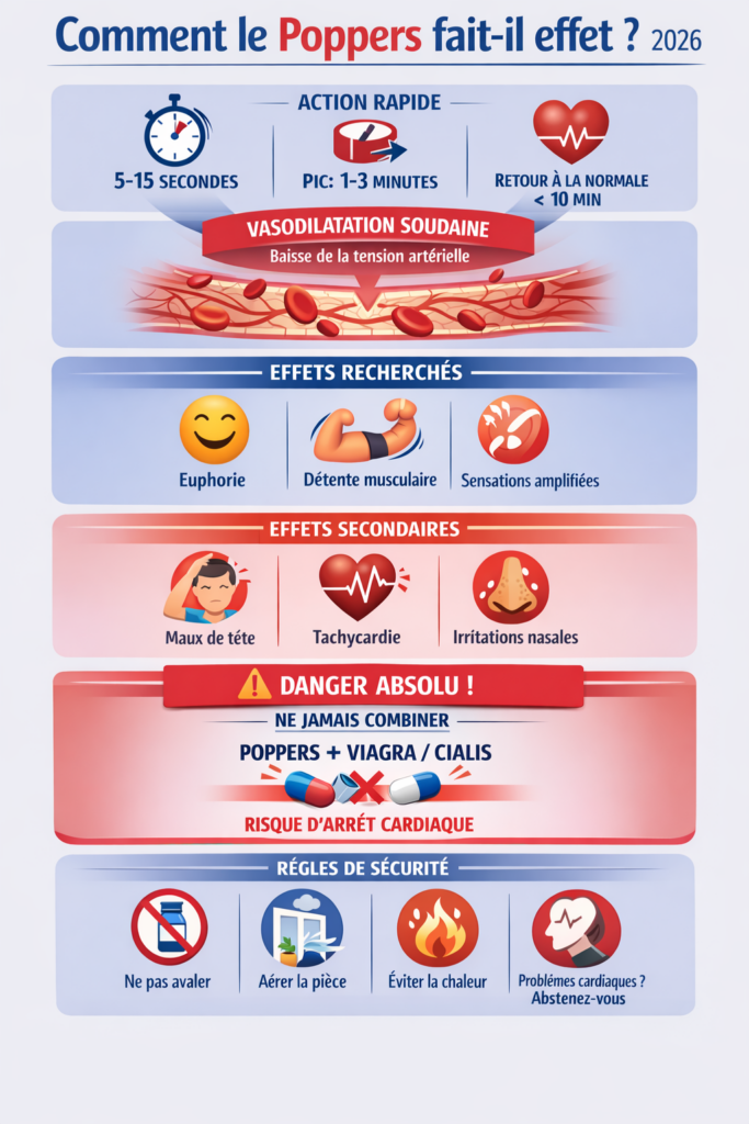 Infographic die uitlegt hoe poppers werkt: snelle vasodilatatie, onmiddellijk effect, werkingsduur, bijwerkingen en ernstige gevaren bij mengsel met Viagra of Cialis.