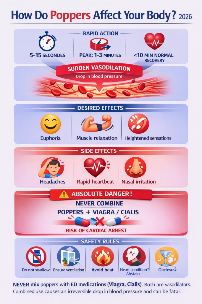 Infographic showing how poppers affect the body: rapid vasodilation, timing of effects, desired effects vs side effects, absolute danger with Viagra/Cialis, and safety rules.