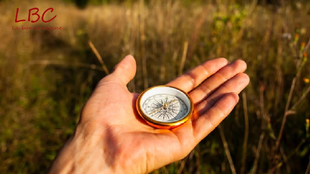 Hand die een kompas vasthoudt boven een zonnig weiland | labonnecopine